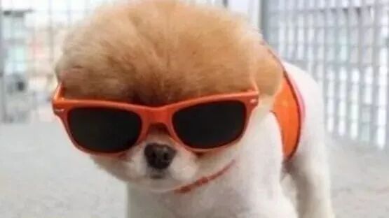 笑话：知道为什么自古红颜多薄命吗？因为……