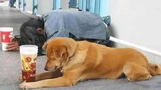 笑话：假如几亿网友一人给我一块，我就是……