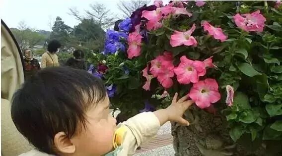 笑话：上学的时候我喜欢一个女生，但我买不起玫瑰花，于是……