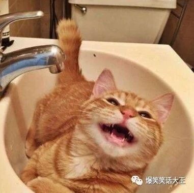 笑话：那些总以过来人的口吻跟你说话的，意思是告诉你……