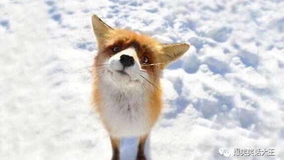 笑话：普通话不飘准，让人误会了·····