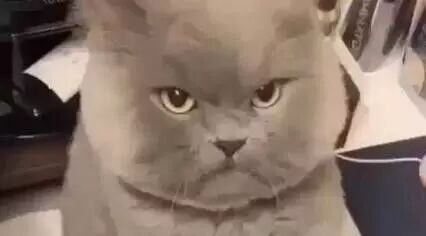 笑话：忍一时越想越气，退一步越想越亏