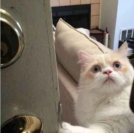 笑话：你这智商是来干嘛的？