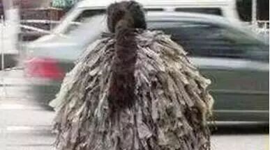 笑话：所以不能买便宜的外套？