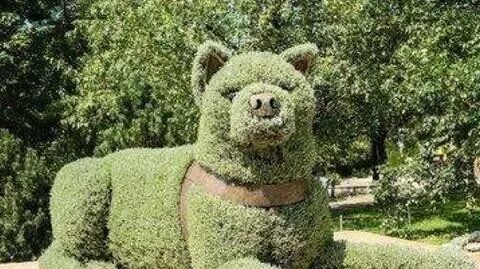 笑话：有没有可能其实植物是在养殖我们？