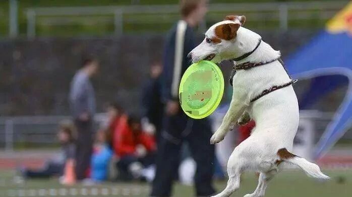 笑话：你侄子小小年纪就会撩妹了……