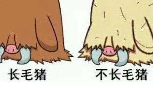 笑话：妖怪要是肉质鲜嫩，营养丰富，是不是也会成为食材……