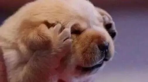 笑话：这年头，人们宁愿说自己有病，也不愿承认自己平凡