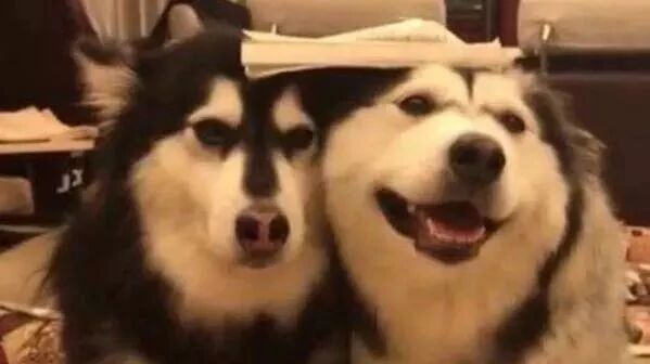 笑话：你总说“老娘天下最美”，这话我就不同意了，你一点都不老