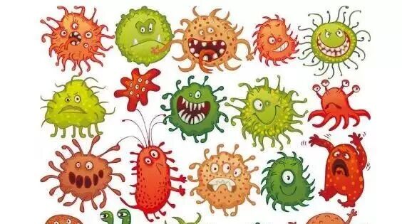 笑话：如果把食物放在温暖的地方会滋生细菌，这或许能解释……