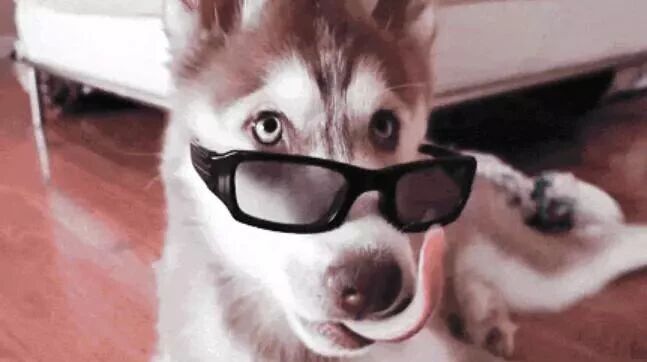 笑话：没错，他是真瞎……