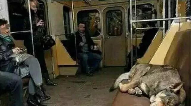 笑话：地铁上也是有有趣的事情滴……