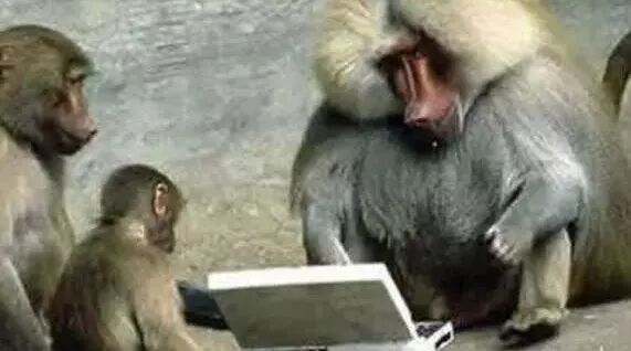 笑话：用一句话证明你看过四大名著……