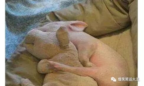 笑话：今天走街上没注意撞到一孕妇，正想道歉，孕妇就……