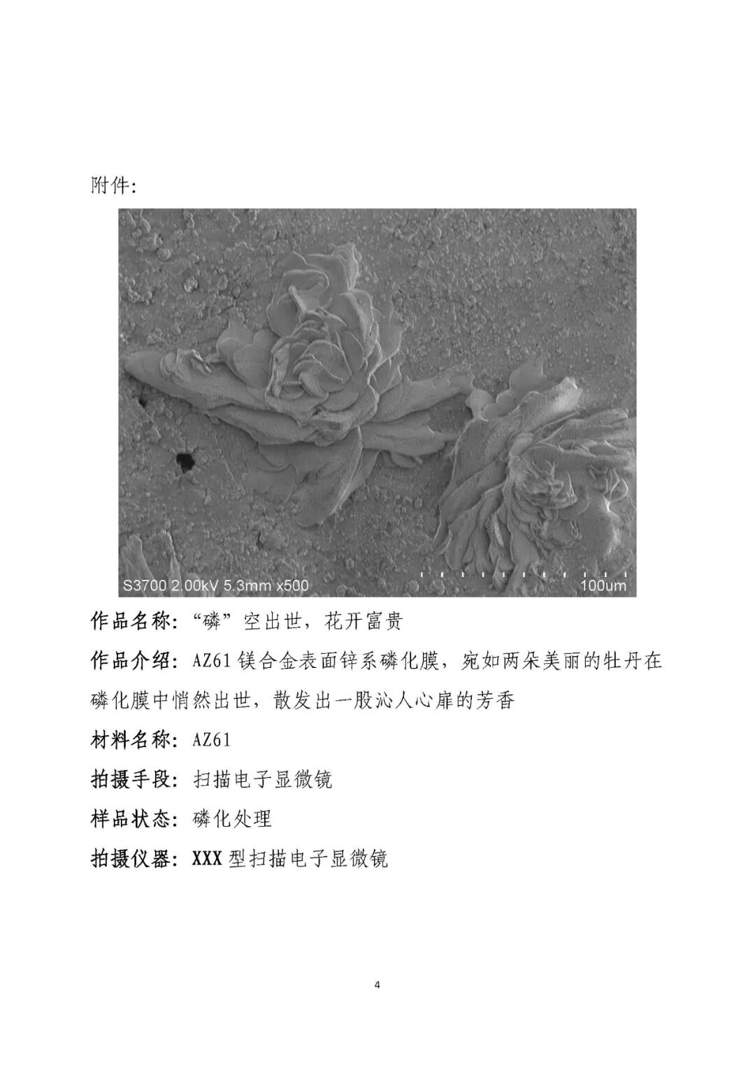 【比賽通知】關(guān)于舉辦第四屆航空金相照片大賽通知的圖5