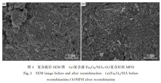 【当期目录】《材料工程》2021年3期目录（形状记忆合金专栏））的图23