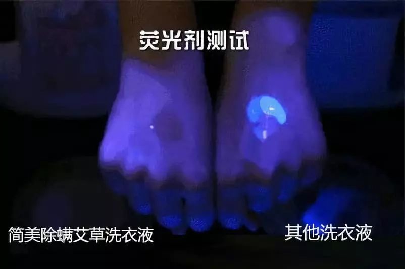 洗1次=曝晒8小时!99%杀菌除螨率的植物艾草洗衣液,杜绝过敏源,呵护家人健康
