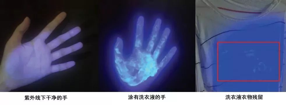 洗1次=曝晒8小时!99%杀菌除螨率的植物艾草洗衣液,杜绝过敏源,呵护家人健康