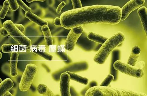 洗1次=曝晒8小时!99%杀菌除螨率的植物艾草洗衣液,杜绝过敏源,呵护家人健康