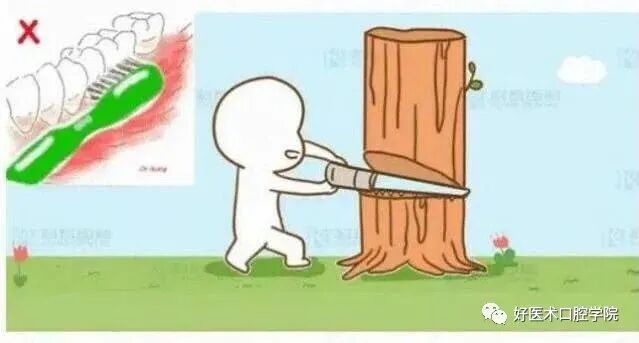 牙胶尖什么颜色早读 ｜ 几十年牙医总结临床经验，现在只需几分钟便可全部了解！_https://www.jmylbn.com_新闻资讯_第19张