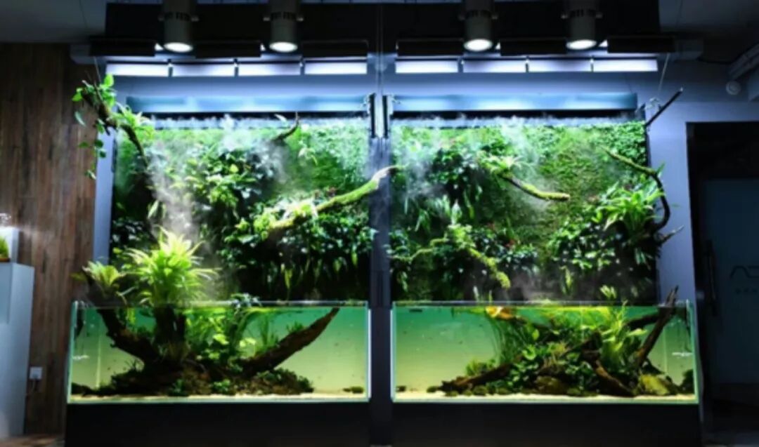 展会动态 看ada 不是非得到日本新泻总部 Aquarama 国际水族展广东国际水族展