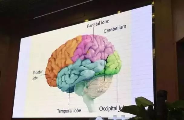 著名腦科學家: 激活孩子大腦最好的三個方法: 運動、閱讀和遊戲！ 親子 第3張