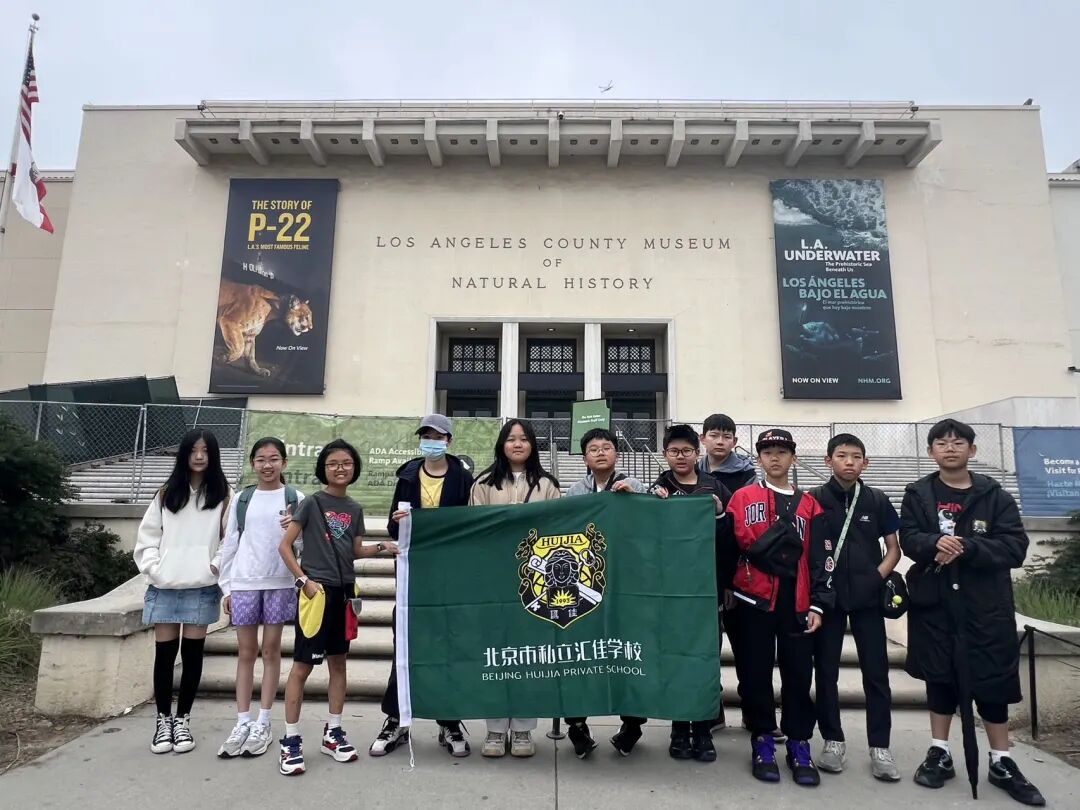 3支队伍3个大洲这所国际学校的学生用行走探索世界