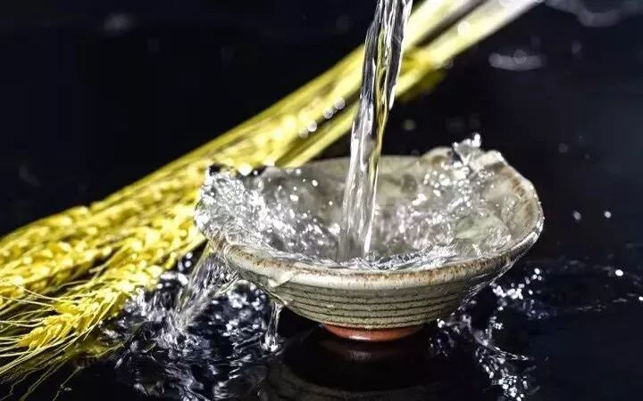 酒，大概是人间最美的饮料......