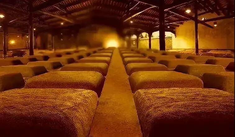 泸州市老酒协会