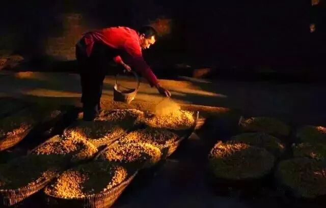 酒类小知识—从这八个方面彻底了解清香型白酒的秘密！