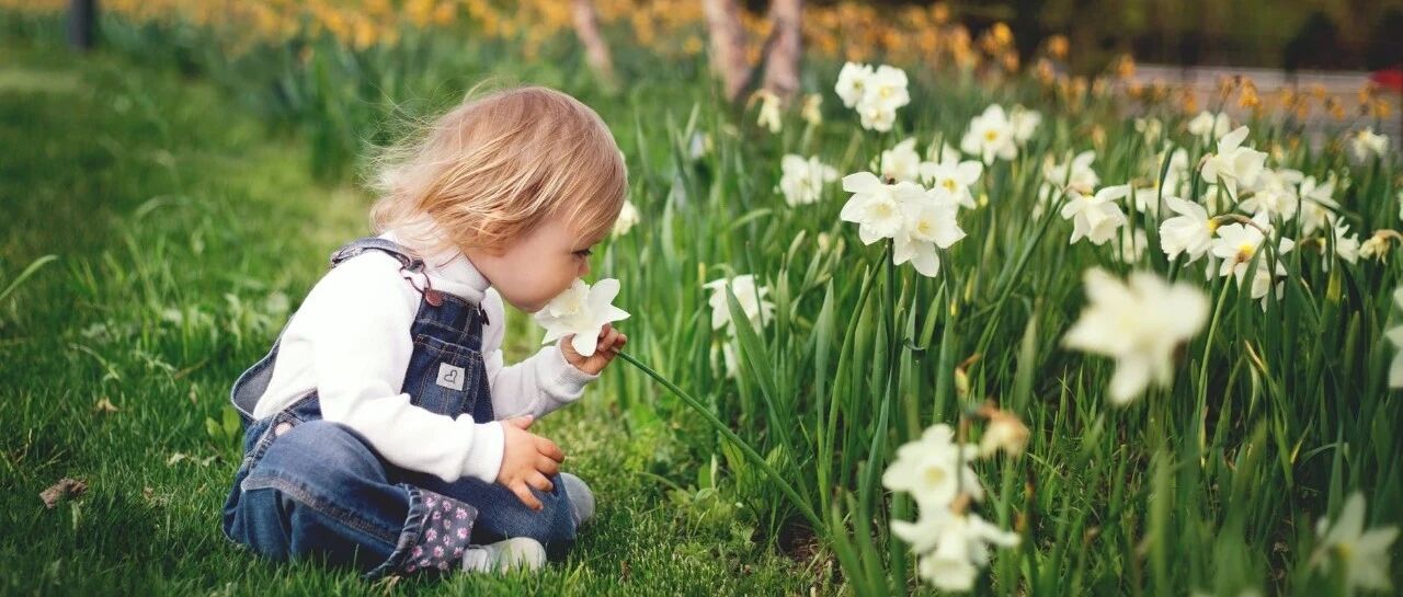 李玫瑾：1岁前自己带孩子，6岁前对孩子说不，12岁前要重视心理抚养！