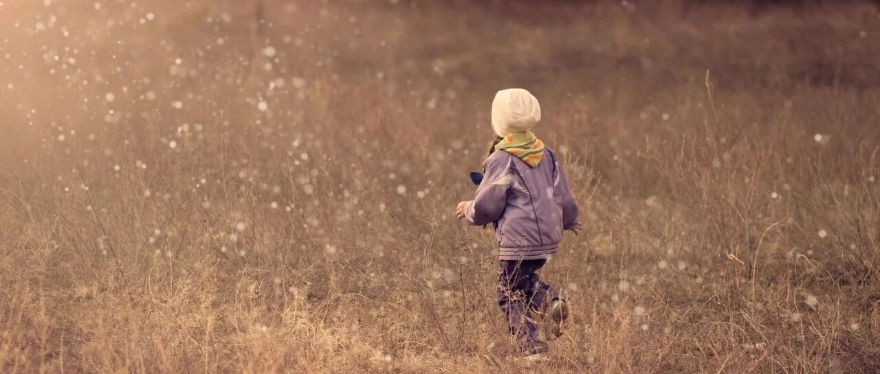 傅首尔抢儿子风头，却被15万父母点赞：这个育儿重点每个父母都需要知道！