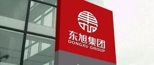 翻版康得新？东旭集团巨亏310亿，近500亿货币资金蒸发
