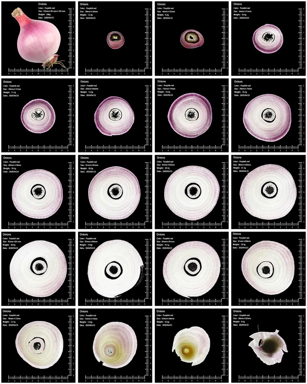 宁波市摄影家协会官网