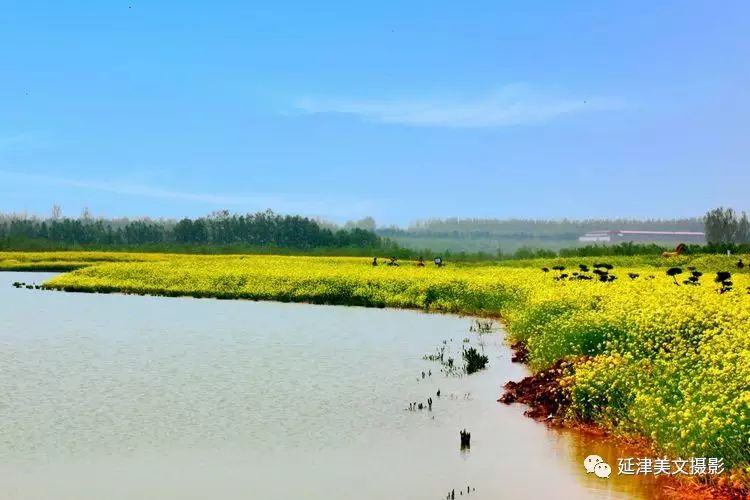 陳橋驛,宋源湖溼地公園小遊漫記