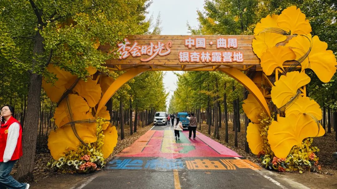微信图片_20261024135000_731_462.jpg