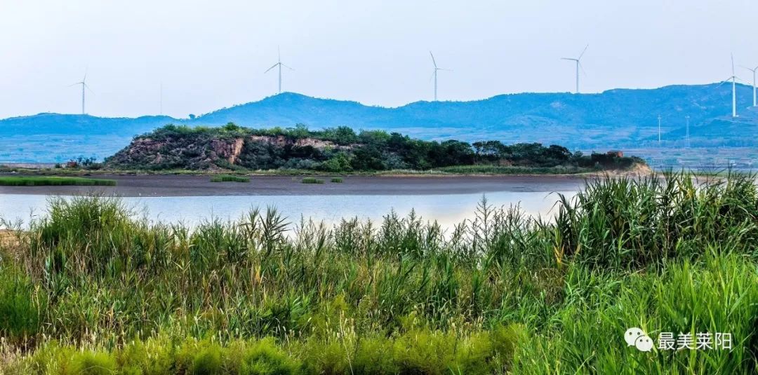 莱阳香岛湾图片