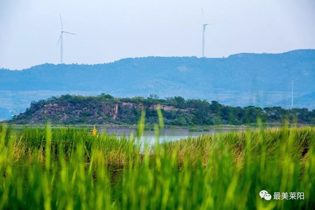 莱阳香岛湾图片