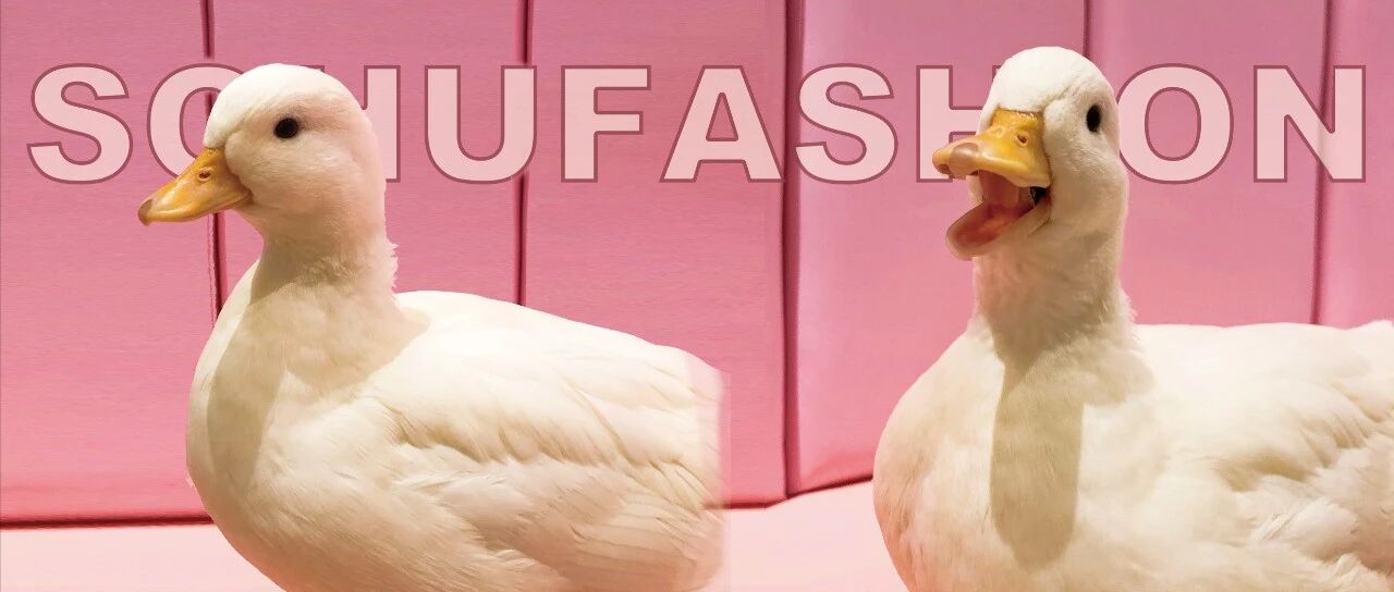 嗨！POP | 时尚编辑逛鸭店，王思聪王珞丹爱的万元鸭到底有多好撸？