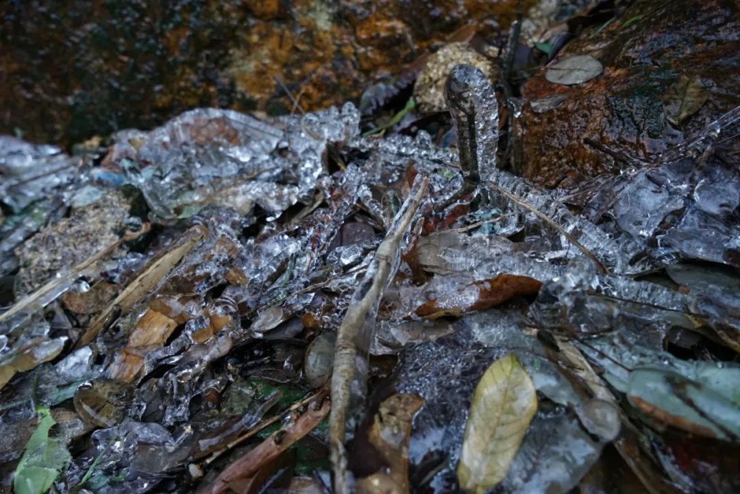 南崑山現冰掛景象原來這麼美