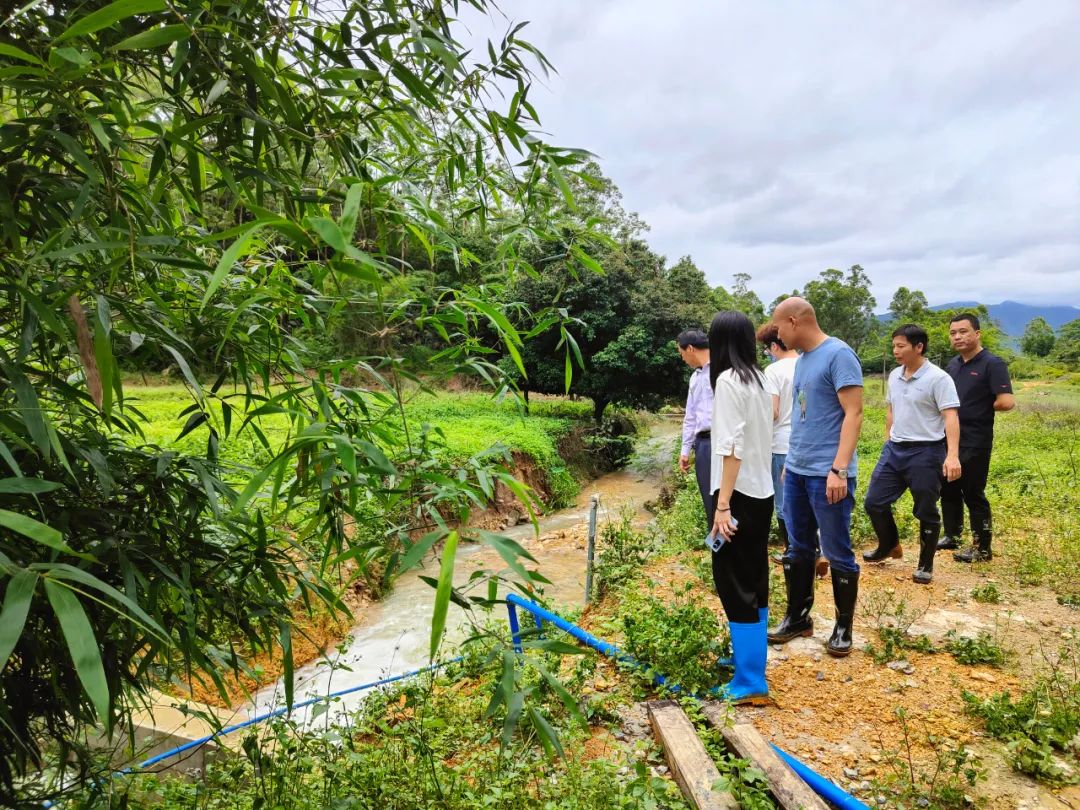 防汛搶險眾志成城麻榨鎮積極做好汛期安全隱患排查及災後復產工作