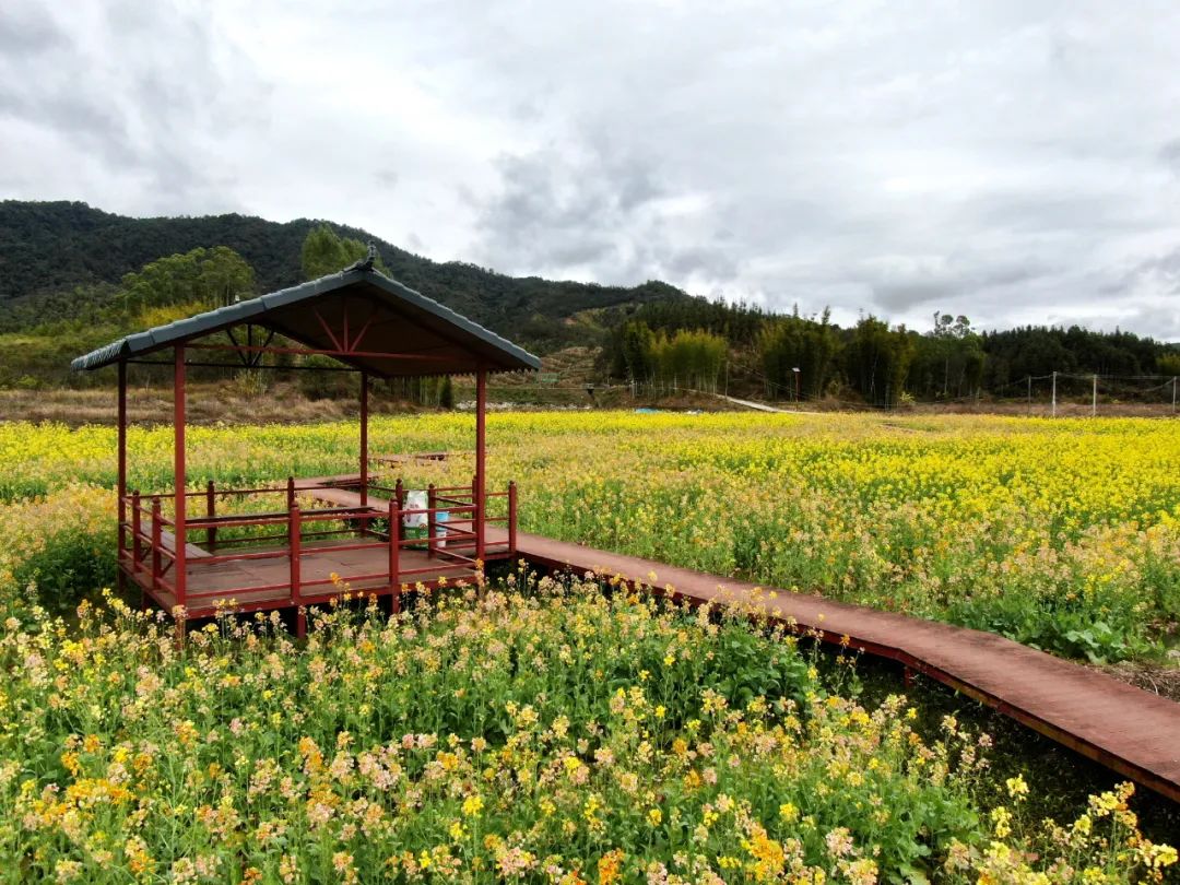 花都赤坭镇蓝田村旅游图片