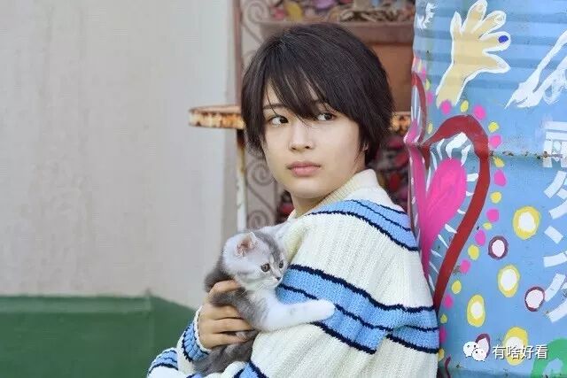 45岁的木村保镖 34岁的松本律师 我都要 冬季日剧最全攻略 自由微信 Freewechat