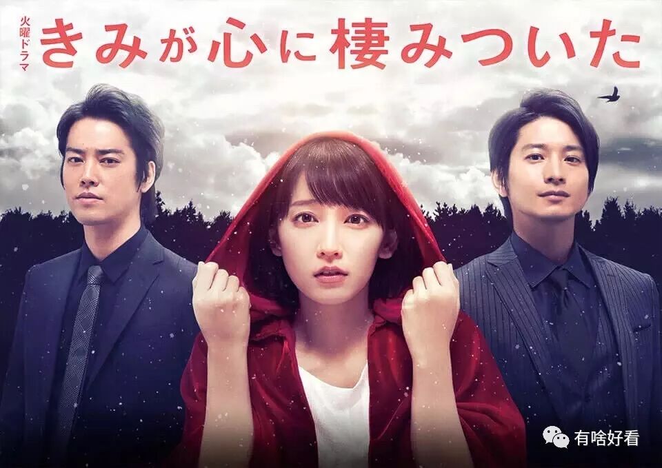 45岁的木村保镖 34岁的松本律师 我都要 冬季日剧最全攻略 自由微信 Freewechat