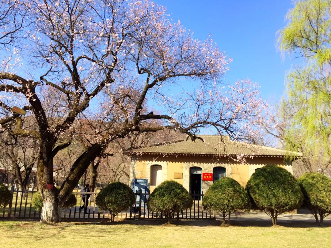 保护革命文物弘扬延安精神坚定不移听党话跟党走