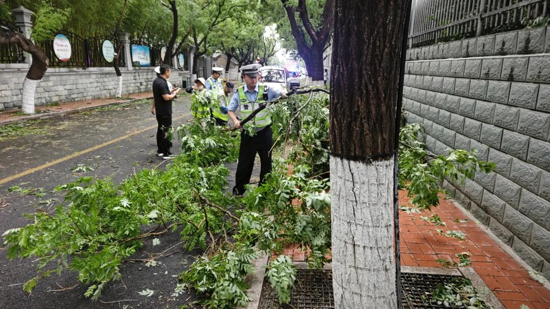 6月7日 遇突发天气 高考考场外  树枝折断 执勤交警恢复交通.jpg