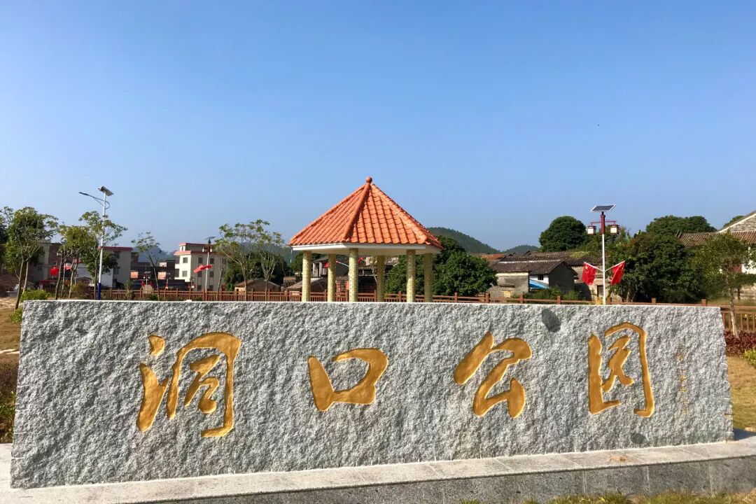 我和我的家乡 | 高要区蛟塘镇洞口村:大力推进美丽乡村建设