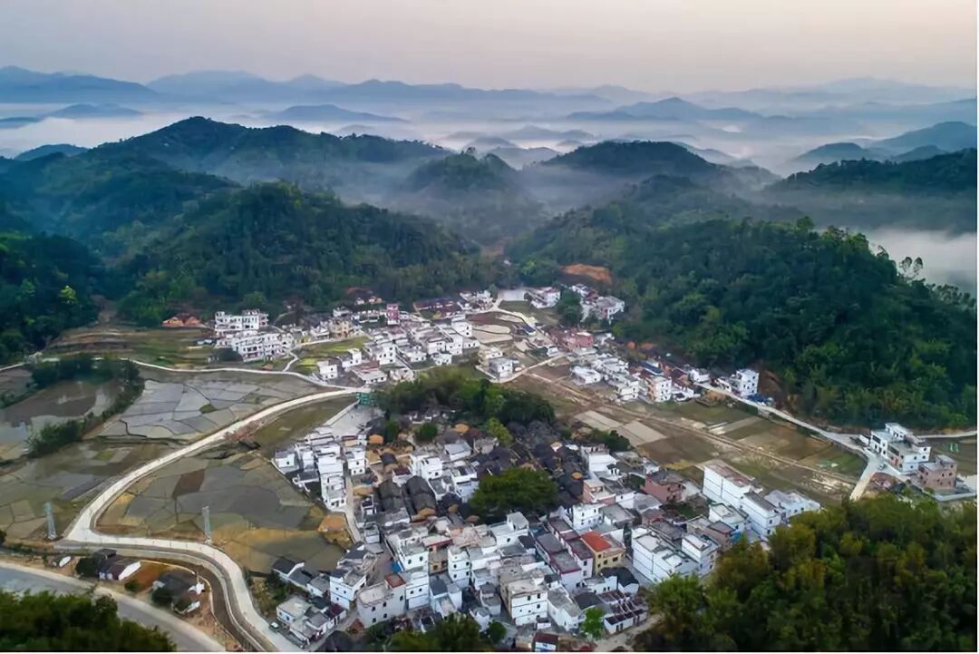 摄◆四会市:威整镇甜竹坑村,威整镇西坑村,贞山街道白龙村◆怀集县:坳