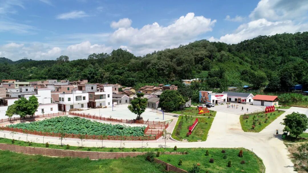 乡村振兴|高要禄步镇:产业兴,乡村美!