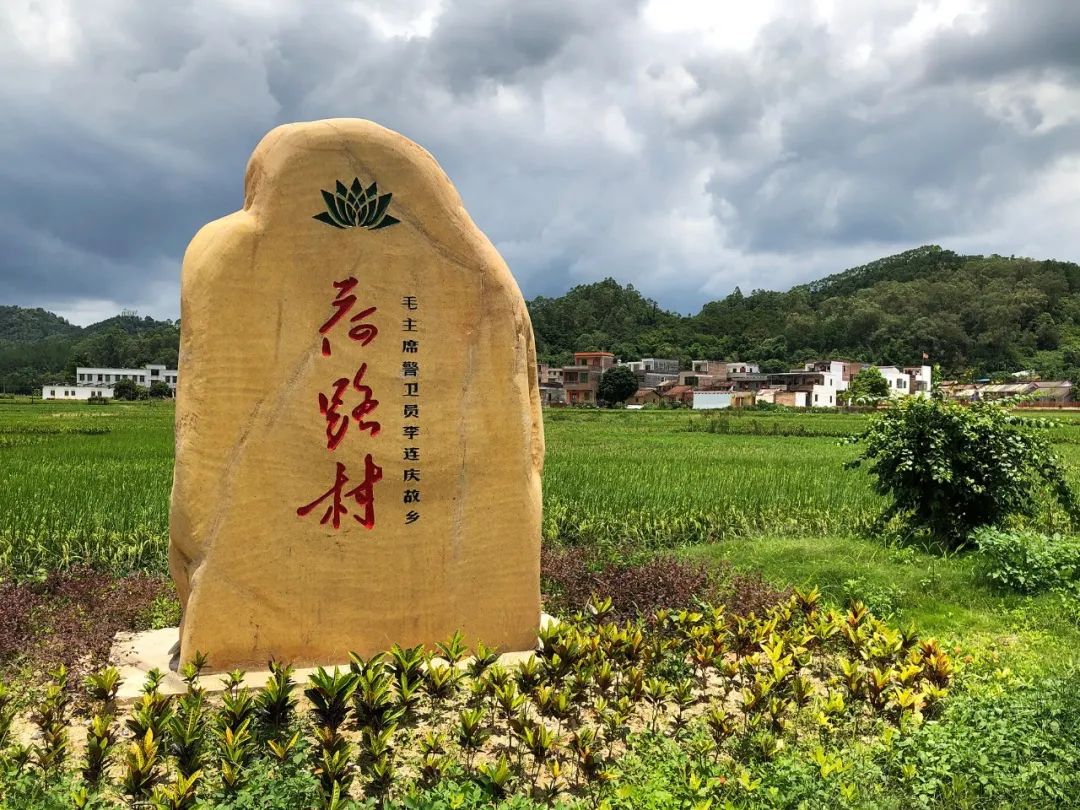 西江党旗红高要禄步镇樟路荷路村建设红色教育基地助力乡村振兴